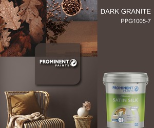 Prominent Paints:Â Dark Granite