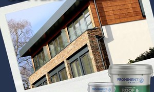 Premium Roof and Paving Exterior Paint