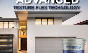 Prominent Premium Textured Paint