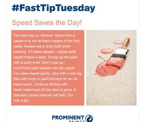 Fast Tip: Prevent Paint Stains on Carpet