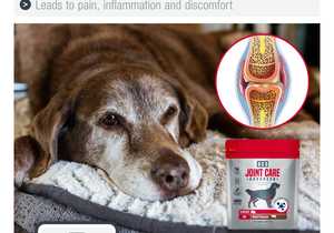 GCS Joint Care Advanced