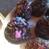 Cupcakes - Cake Delights - Xplorioâ„¢ Bredasdorp