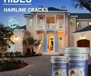 Prominent Premium Textured Paint