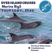Next Dyer Island Marine Big 5 Tour: 4 May 2023