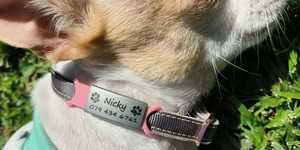 WhatsApp_Image_2023_05_03_at_16.22.16_1683123535