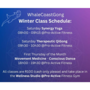 WhaleCoastGong Winter Class Schedule