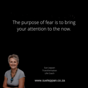 Don't Let Fear DestroyÂ Your Dreams