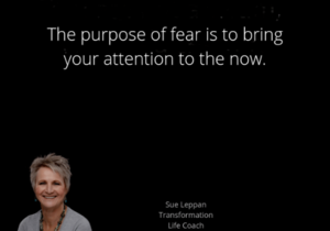 Don't Let Fear DestroyÂ Your Dreams