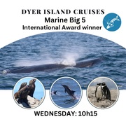 Next Dyer Island Marine Big 5 Tour: 10 May 2023