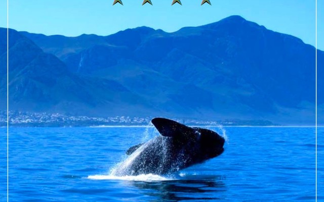 southern_right_1683644471