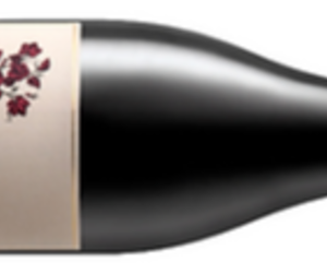 Saturday | Sunday Weekend Tasting:Â Smuggler's Boot