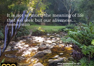 Feel Alive in the Present