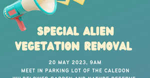 20 May 2023: Alien Vegetation Removal