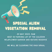 20 May 2023: Alien Vegetation Removal