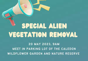 20 May 2023: Alien Vegetation Removal
