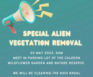 20 May 2023: Alien Vegetation Removal