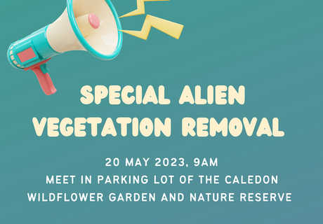 20 May 2023: Alien Vegetation Removal