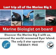Next Dyer Island Marine Big 5 Tour: 16 May 2023