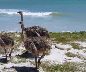 Exploring The Great Outdoors With Seeff Gansbaai