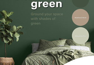 Prominent Paints: Pine Forest