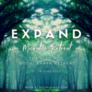 15 - 18 June 2023: EXPAND - Microdose Retreat at the Wild Pod