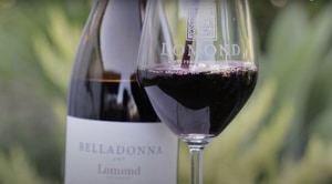 NEW RELEASE: 2019 Belladonna SMV Blend