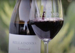 NEW RELEASE: 2019 Belladonna SMV Blend