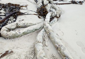 On the Beach: A Shipâ€™s Hawser