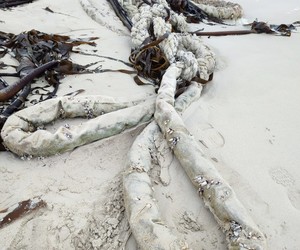 On the Beach: A Shipâ€™s Hawser