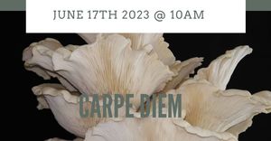 17 June 2023: Oyster Mushroom Grow Workshop