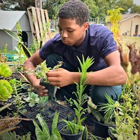 Skills and Mentorship Program for Teenage Boys - Grow Strong - Xplorioâ„¢ Grabouw