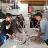 Skills and Mentorship Program for Teenage Boys - Grow Strong - Xplorioâ„¢ Grabouw