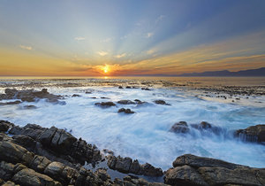 Week 46 of 2013 – Gansbaai News, Specials & Events