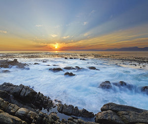 Week 46 of 2013 – Gansbaai News, Specials & Events