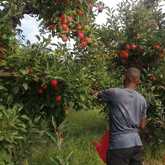 Skills and Mentorship Program for Teenage Boys - Grow Strong - Xplorioâ„¢ Grabouw