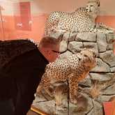 Skills and Mentorship Program for Teenage Boys - Grow Strong - Xplorioâ„¢ Grabouw