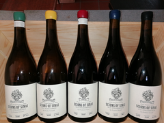 Now in Stock:Â Scions of Sinai!