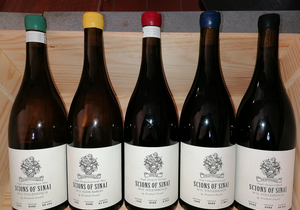 Now in Stock:Â Scions of Sinai!