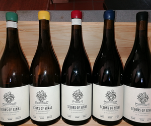 Now in Stock:Â Scions of Sinai!