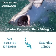 Next Marine Dynamics Shark Cage Diving Trip: 27 May 2023