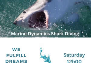 Next Marine Dynamics Shark Cage Diving Trip: 27 May 2023