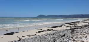 Seeff Gansbaai Connects You With Romansbaai Beach & Fynbos Estate