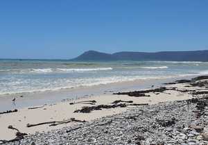 Seeff Gansbaai Connects You With Romansbaai Beach & Fynbos Estate