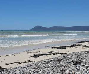 Seeff Gansbaai Connects You With Romansbaai Beach & Fynbos Estate