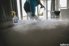 Sea_View_Cleaners_Steamer_1685365242