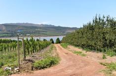 1606253_h_34_1685444181