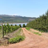 Villiersdorp - Pam Golding Properties Villiersdorp - Xplorioâ„¢ Villiersdorp