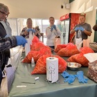 Oyster Mushroom Grow Workshop - Tahini Deli - Xplorioâ„¢ Kleinmond