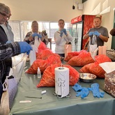 Oyster Mushroom Grow Workshop - Tahini Deli - Xplorioâ„¢ Kleinmond