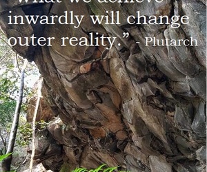 As Above, So Below. As Within, So Without